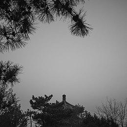 《我的世界：地下城》第三个季节性冒险上线：“动物集市”